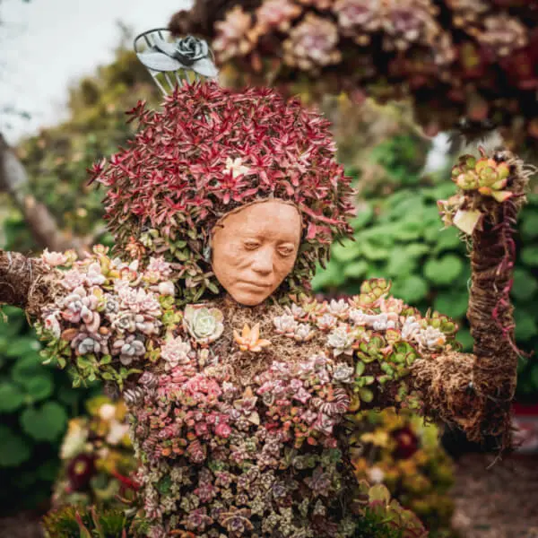 San Diego Botanic Garden